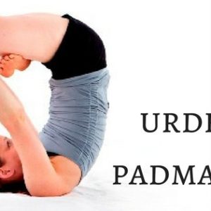 Upward-Lotus-Pose-Urdhva-Padmasana-300x300.jpg